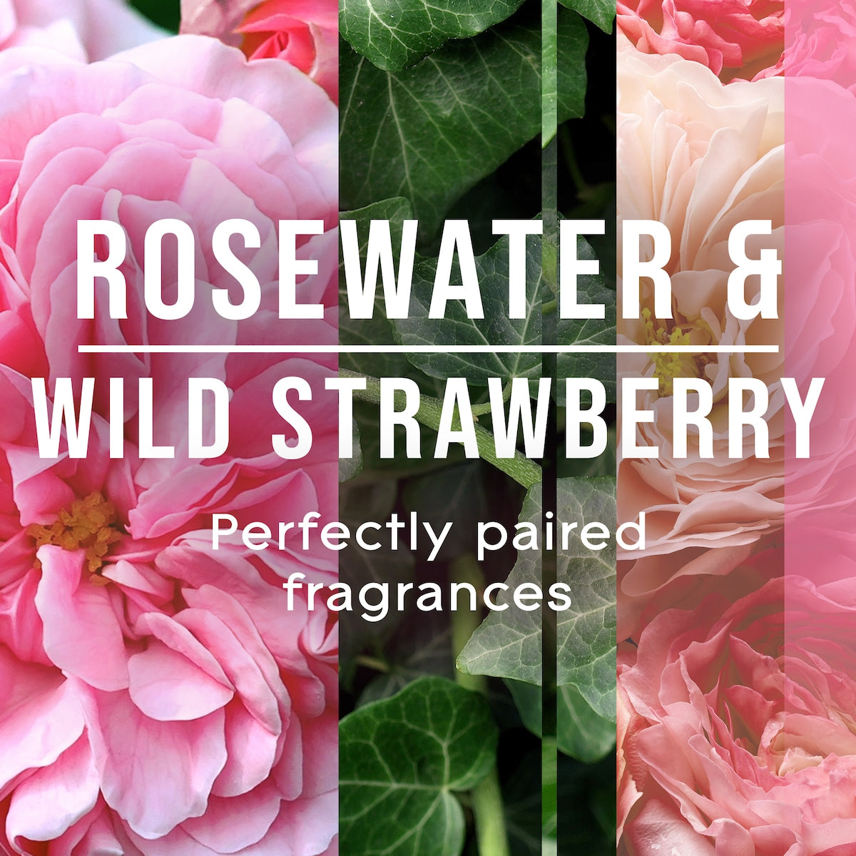 Glade Fresh Air Freshener Rosewater & Wild Strawberry 210g