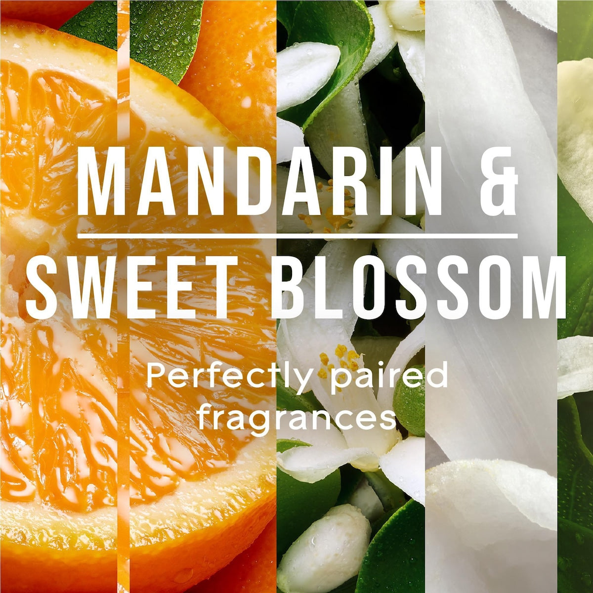 Glade Fresh Air Freshener Mandarin & Sweet Blossom 210g