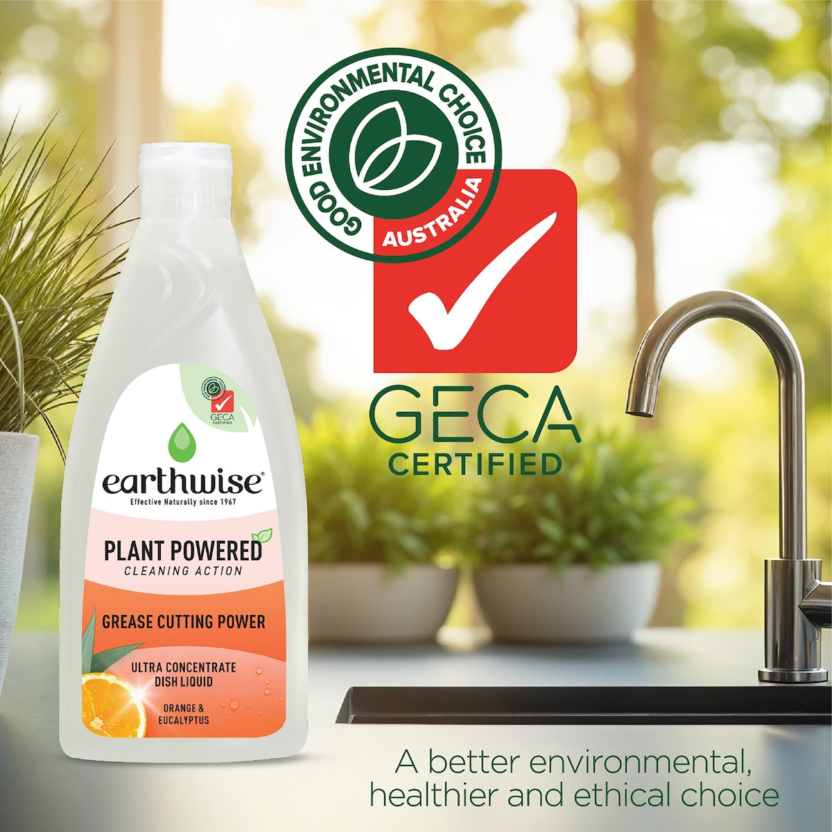 Earthwise Dishwashing Liquid Orange & Eucalyptus 500ml