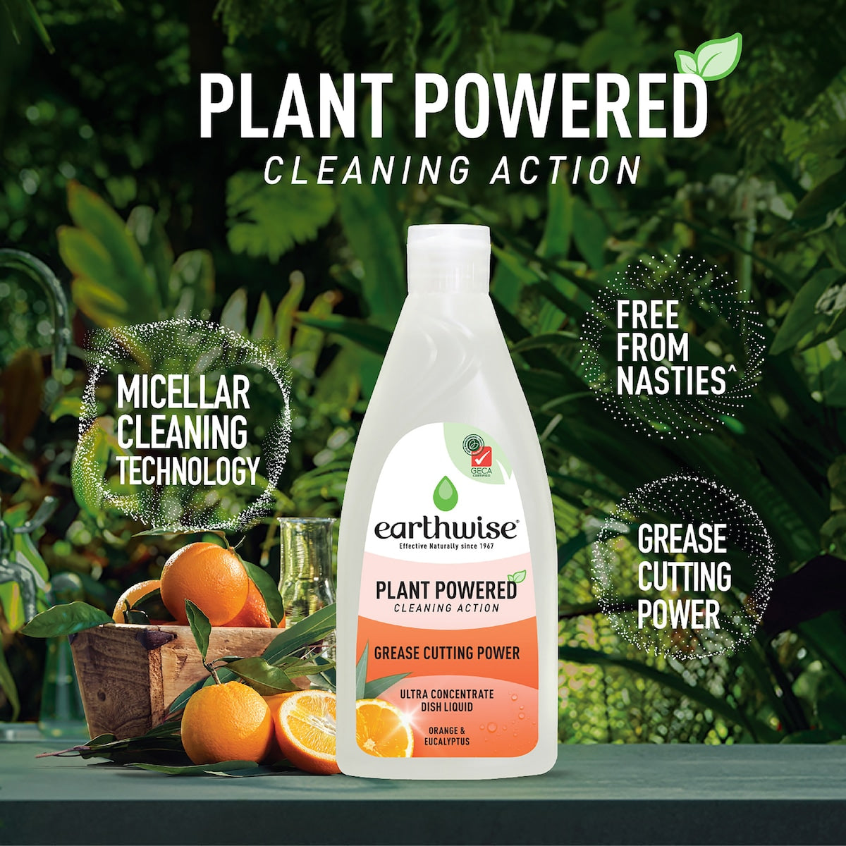 Earthwise Dishwashing Liquid Orange & Eucalyptus 500ml
