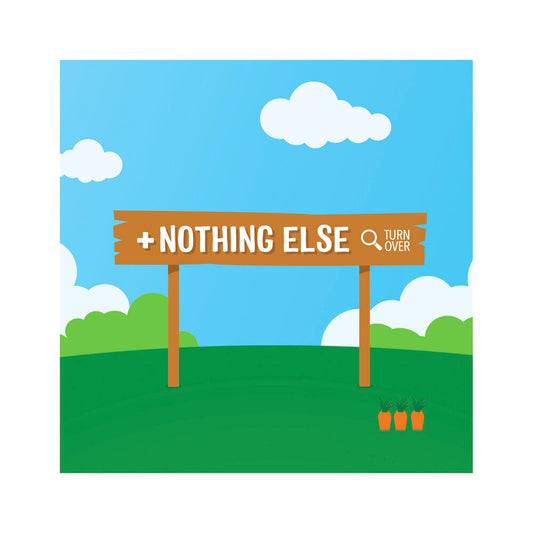 Rafferty's Garden Apple Pear & Cinnamon and Nothing Else Baby Food Puree Pouc ... 120g