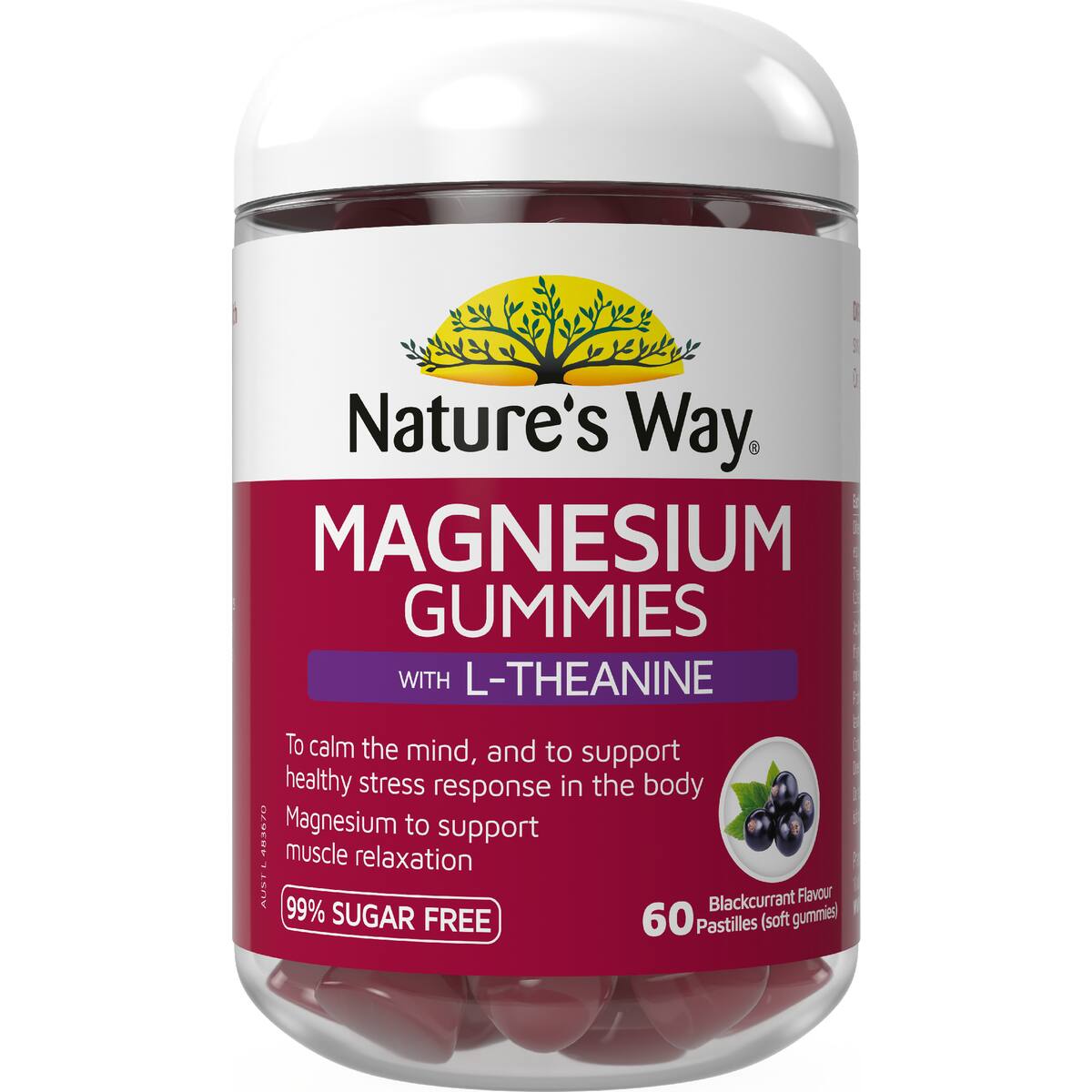 Nature's Way Magnesium Gummies With L Theanine 60 Pack