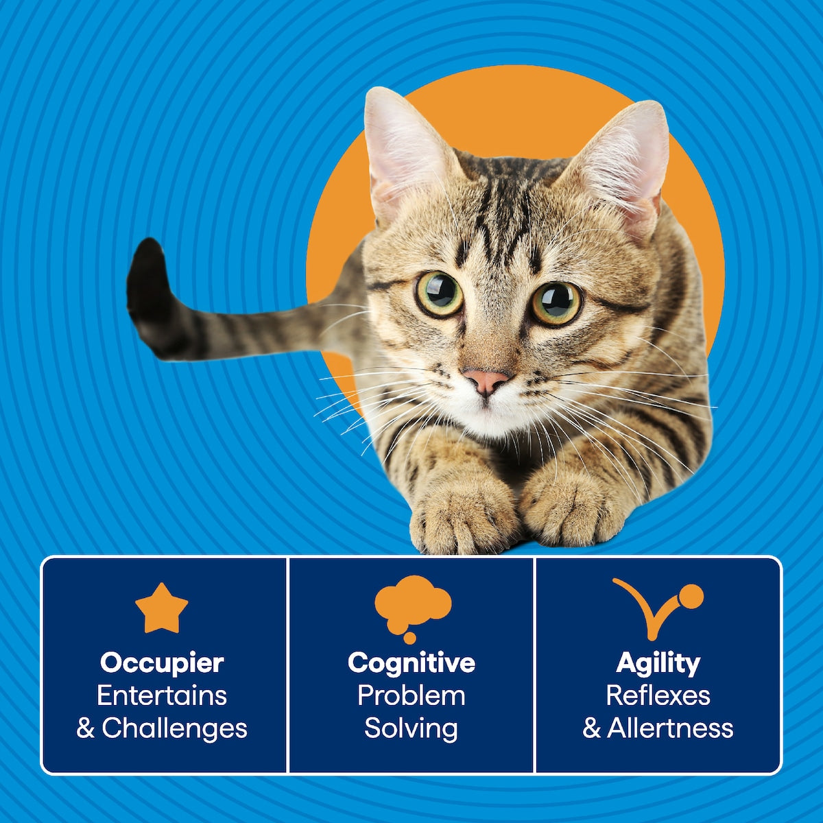 Purina Total Care Treat Ball Cat Toy Each