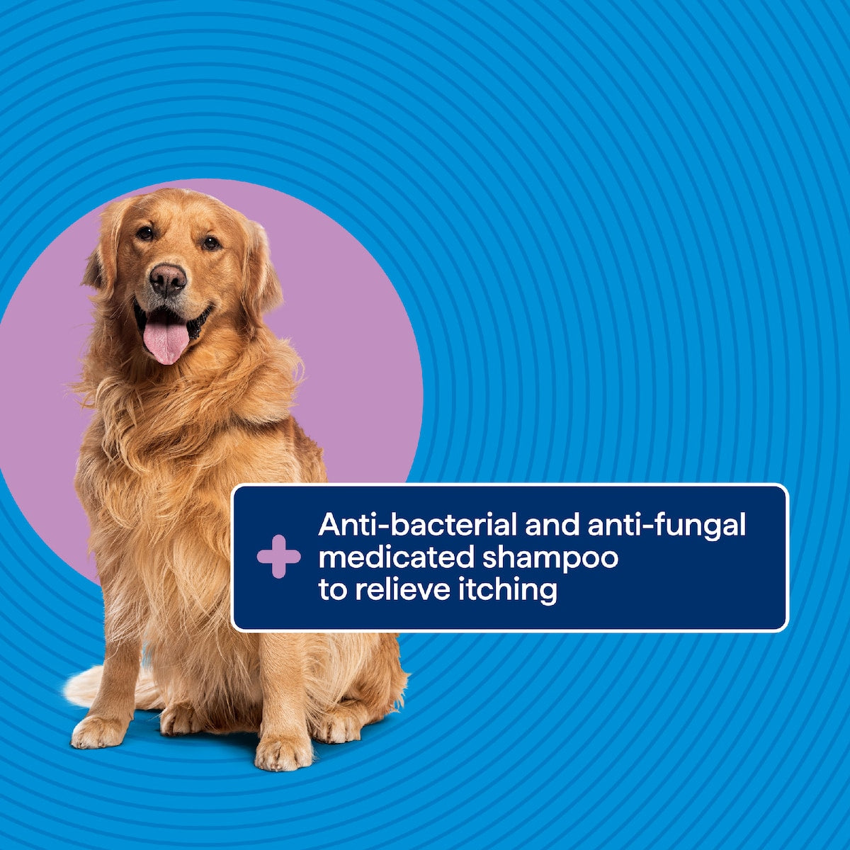 Purina Total Care Dog Shampoo Medicated 350ml
