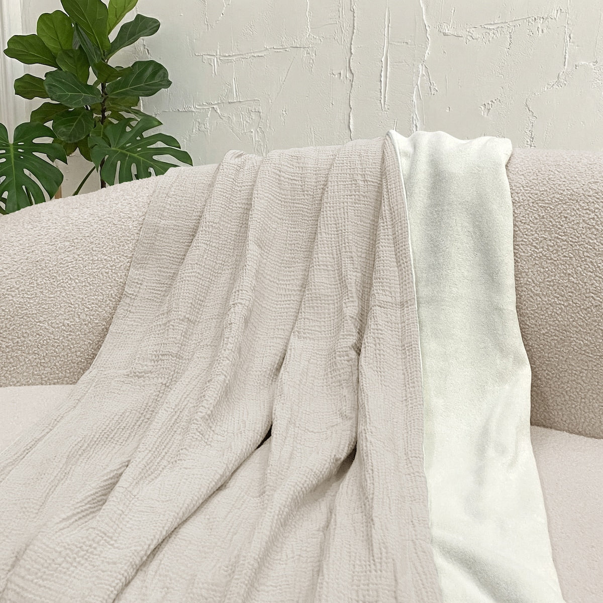 Muslin Plush Throw Cream Each