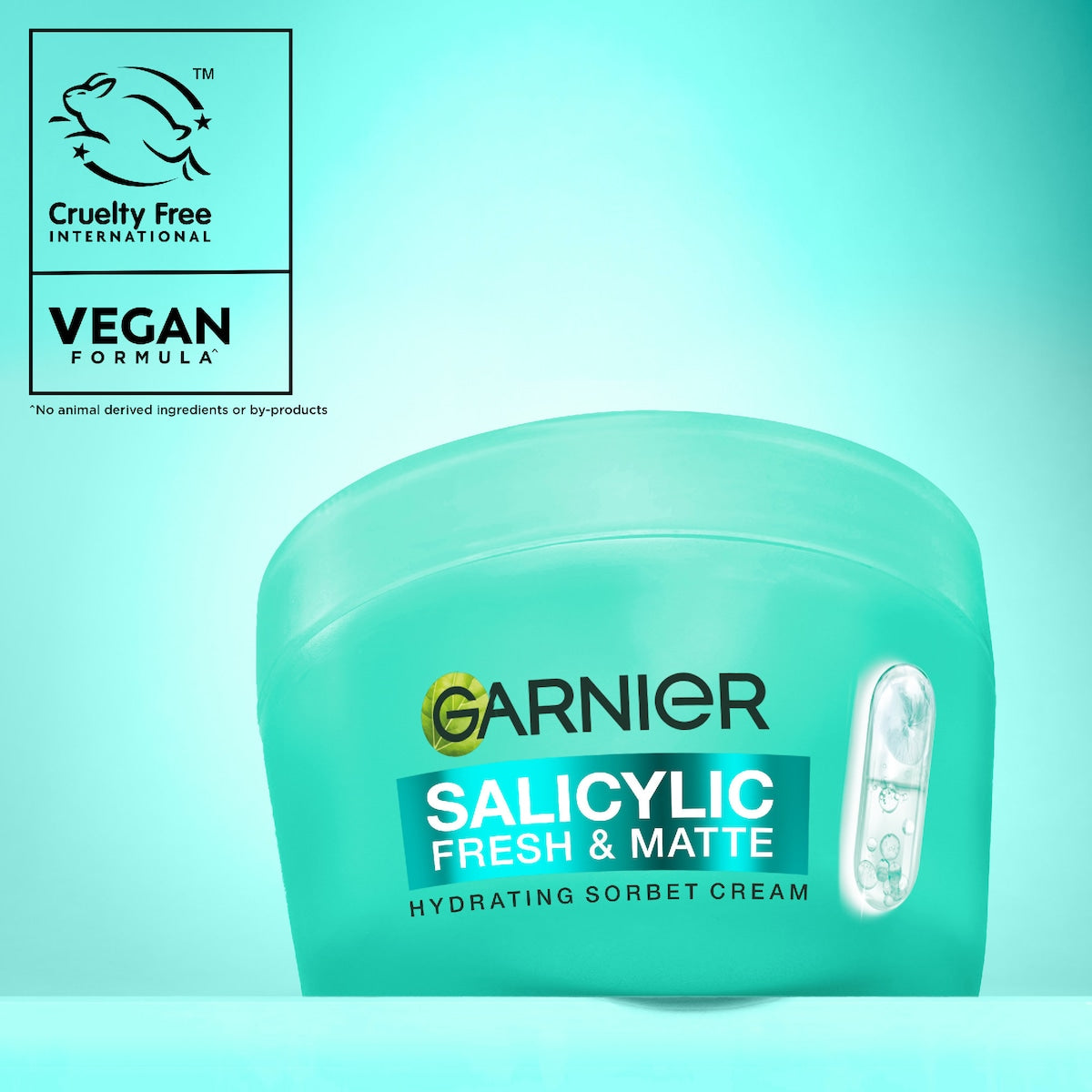 Garnier Salicylic Hydrating Sorbet Face Cream 85ml