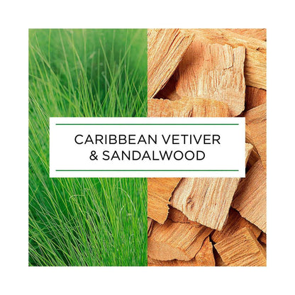 Botanica By Air Wick Caribbean Vetiver & Sandalwood Automatic Spray Refill - 228mL
