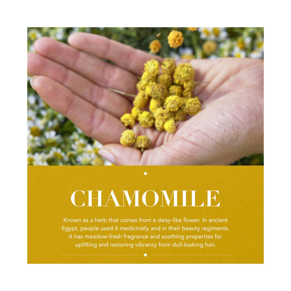 Herbal Essences Classic Normal Shampoo - 400mL