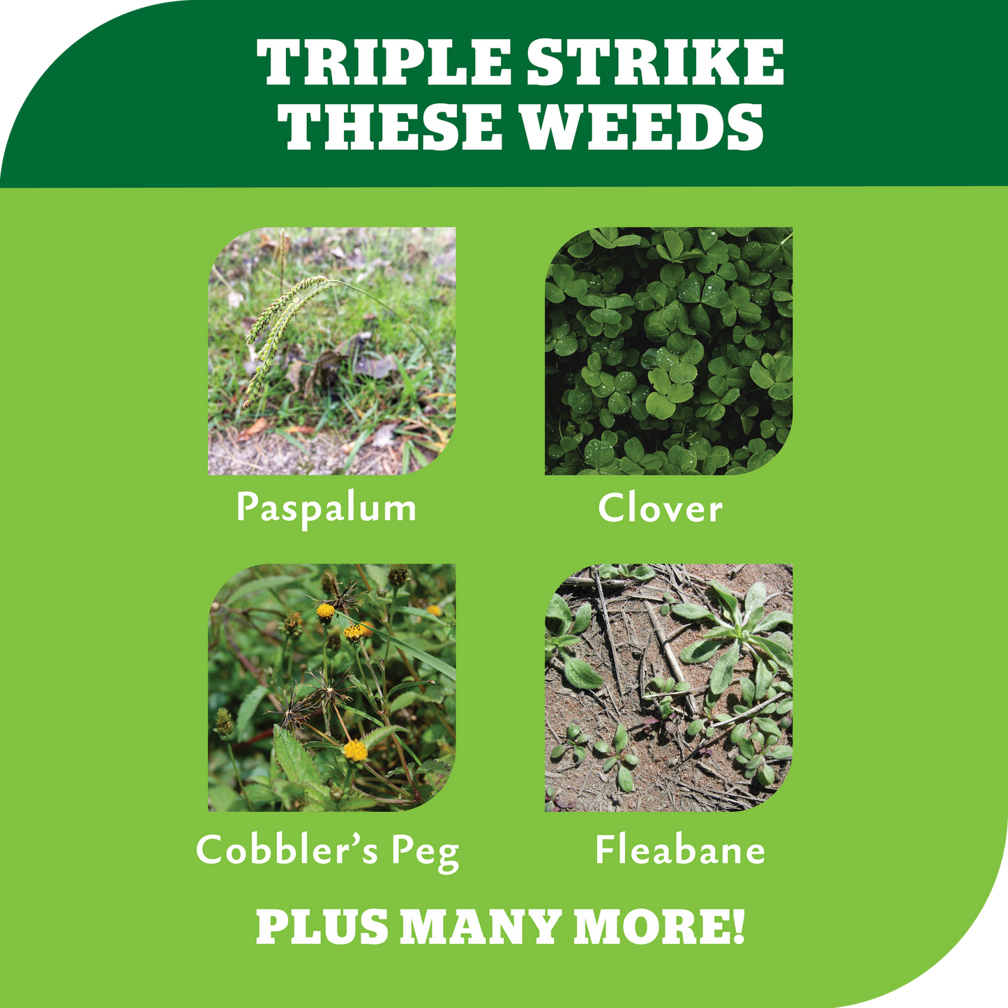 Yates Zero Ready to Use Triple Strike Garden Weedkiller - 1L