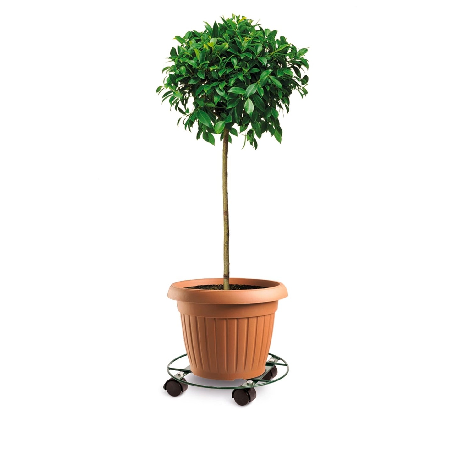 Eden Pot Plant Trolley - 30cm