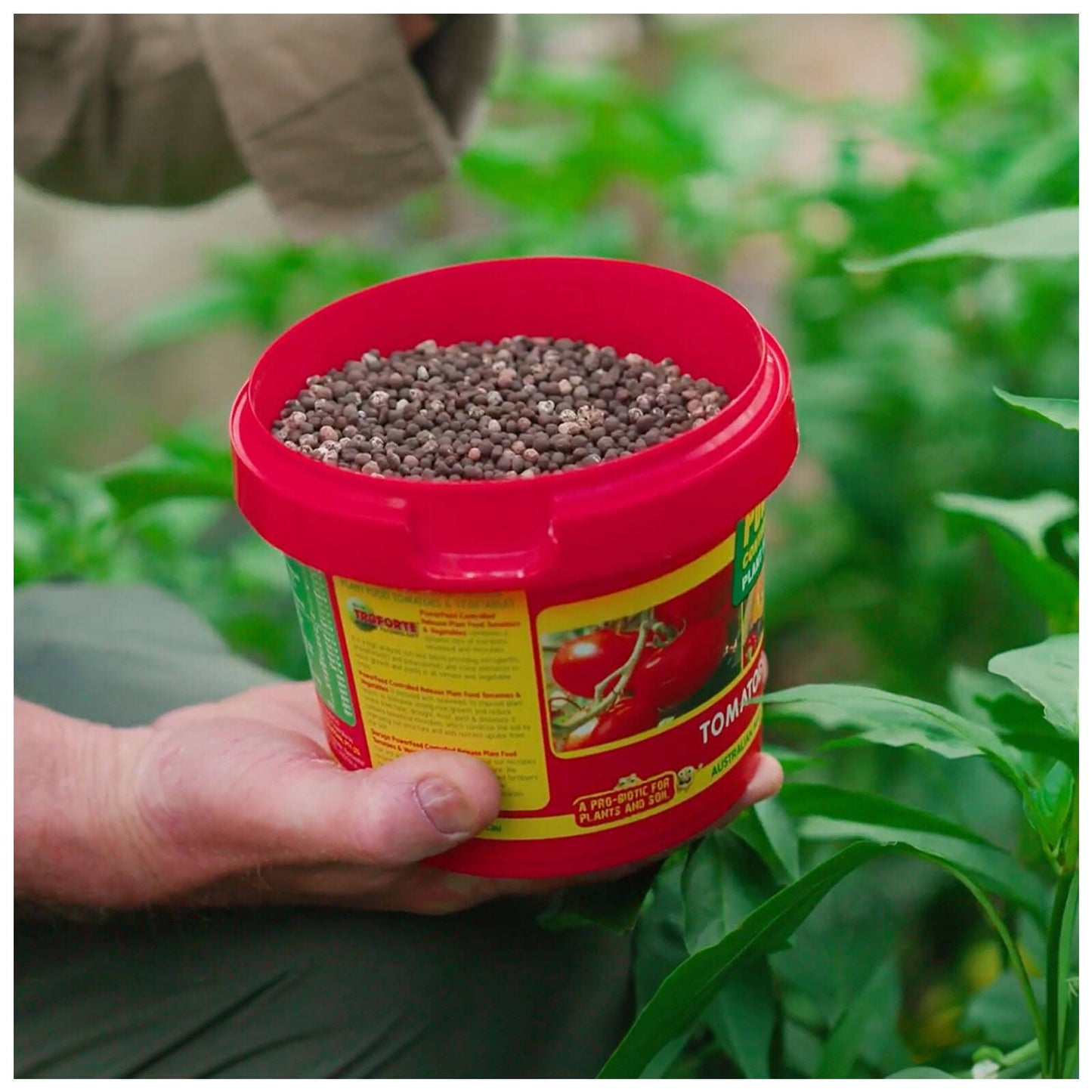 PowerFeed Controlled Release Plant Food - 1kg - Tomatoes & Vegetables