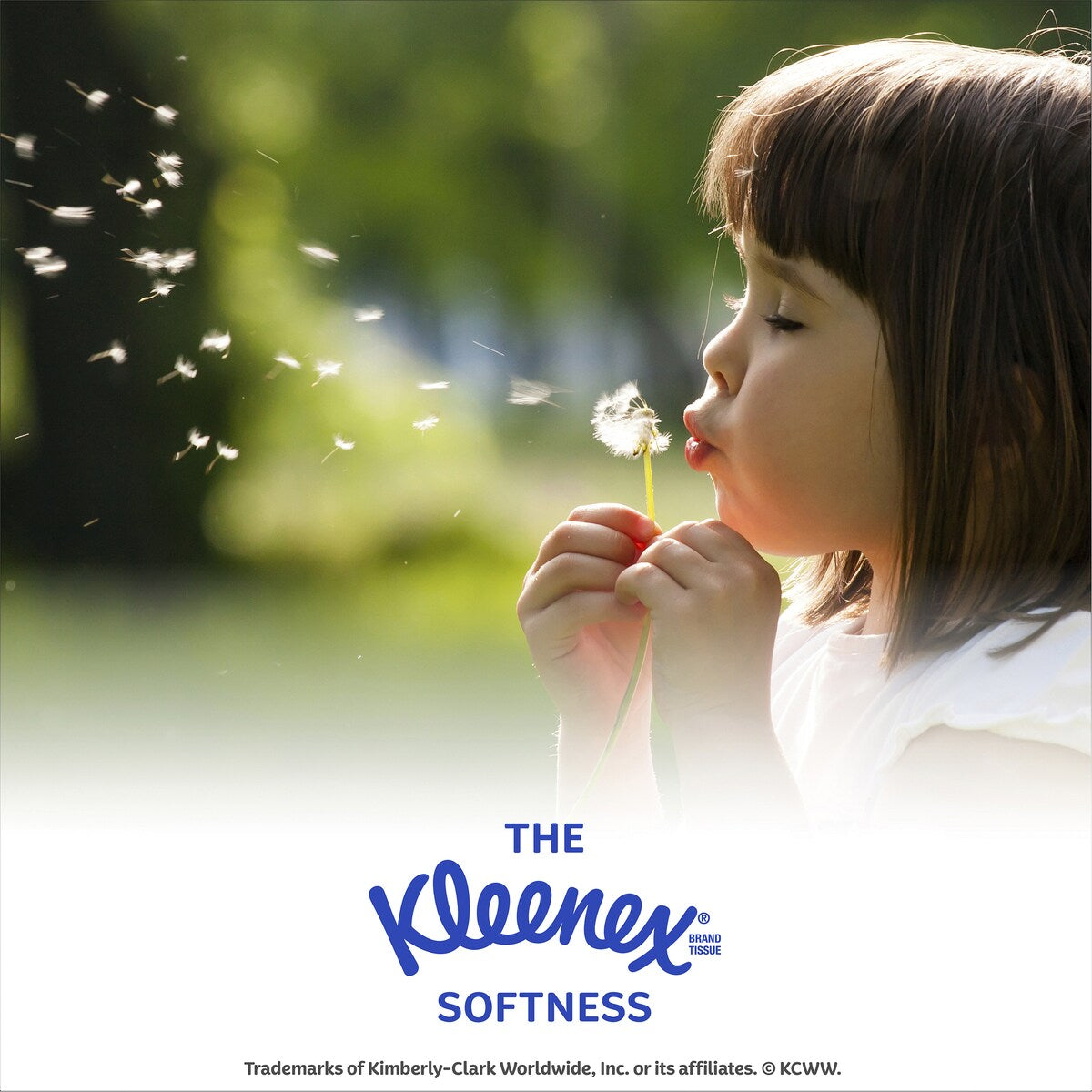 Kleenex Everyday 2 Ply Facial Tissues Cube 85 Pack