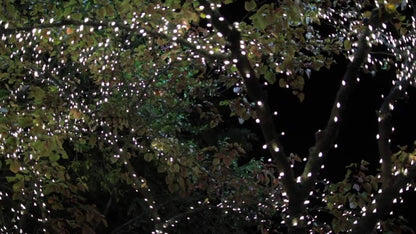 Lytworx Low Voltage Fairy Lights 1200 Pack - 59.9m - White