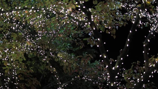 Lytworx Low Voltage Fairy Lights 1200 Pack - 59.9m - White