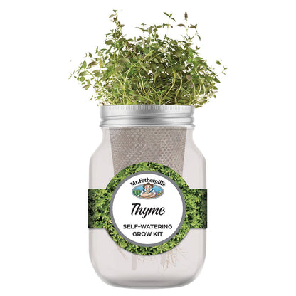 Mr Fothergill's Thyme Self Watering Grow Kit - 90 x 172mm - Grey