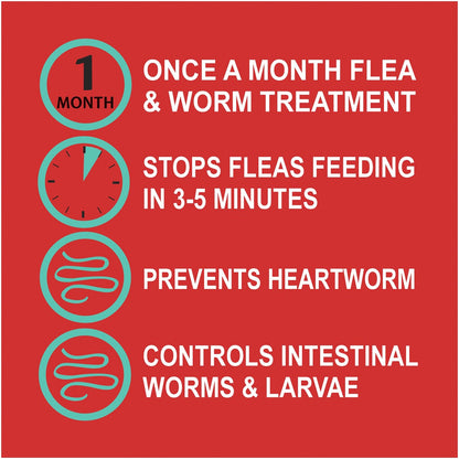 Exelpet Vet Flea Intestinal & Heartworm Treatment Small Dog each