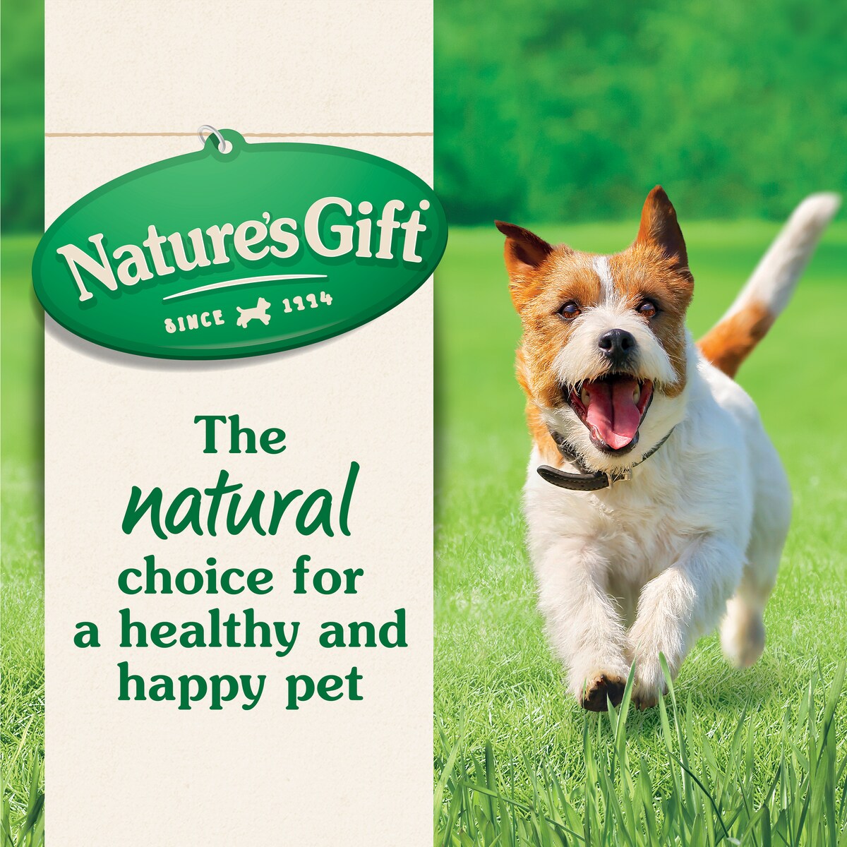 Nature's Gift Adult Dry Dog Food With Chicken & Fish 2.5kg