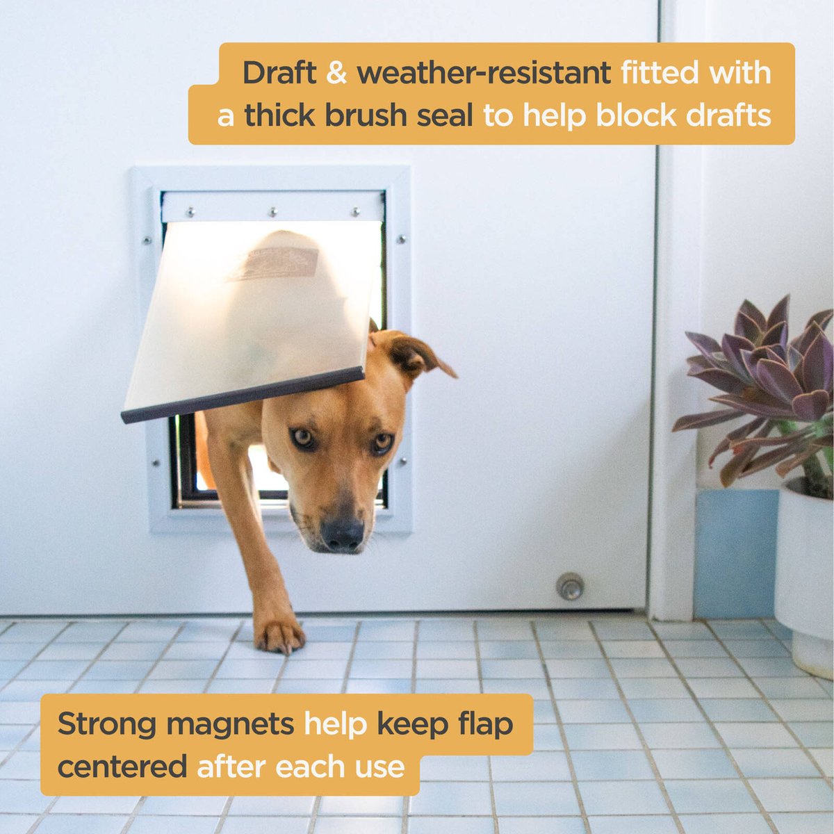 Hakuna Pets Medium Aluminium Pet Door 225mm W 305mm H Durable Design