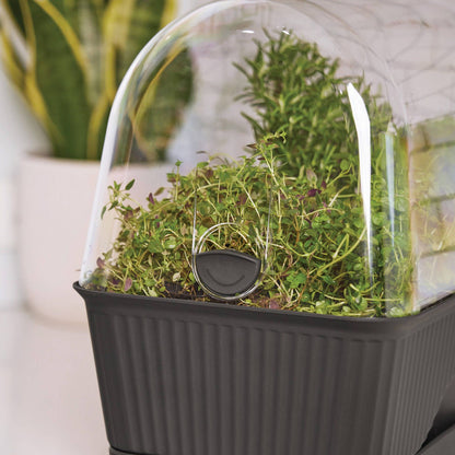 Backyard Farmer Grey Lula Mini Greenhouse