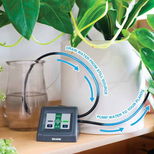 Holman Wi Fi Plantsitter Indoor Timer Kit - 216 x 100 x 146mm