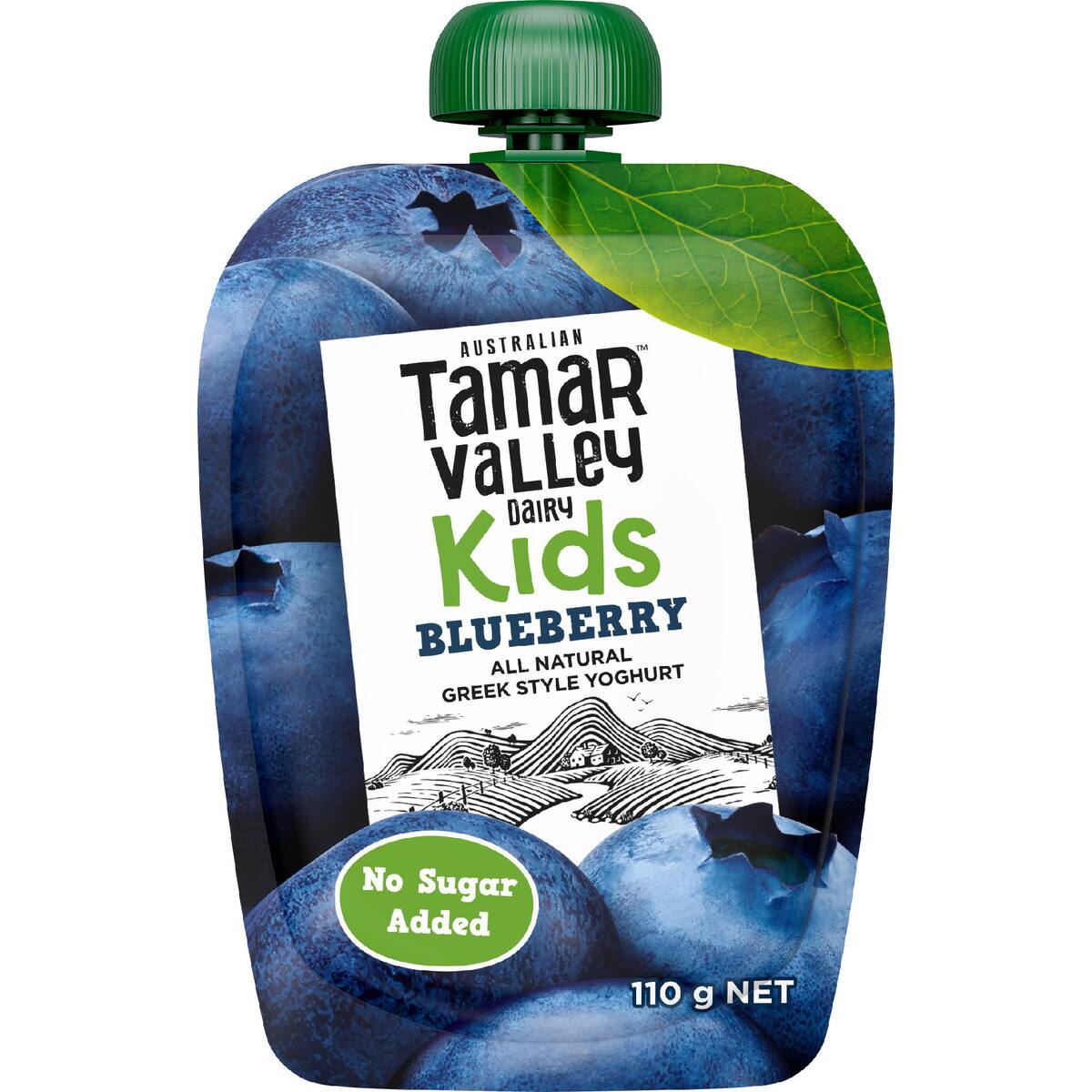 Tamar Valley Dairy Kids Greek Yoghurt Pouch Blueberry 110g