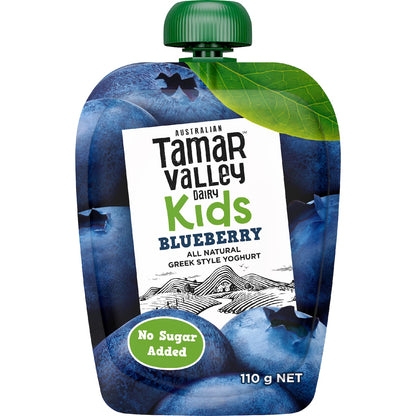 Tamar Valley Dairy Kids Greek Yoghurt Pouch Blueberry 110g