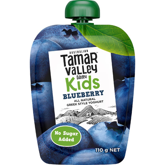 Tamar Valley Dairy Kids Greek Yoghurt Pouch Blueberry 110g