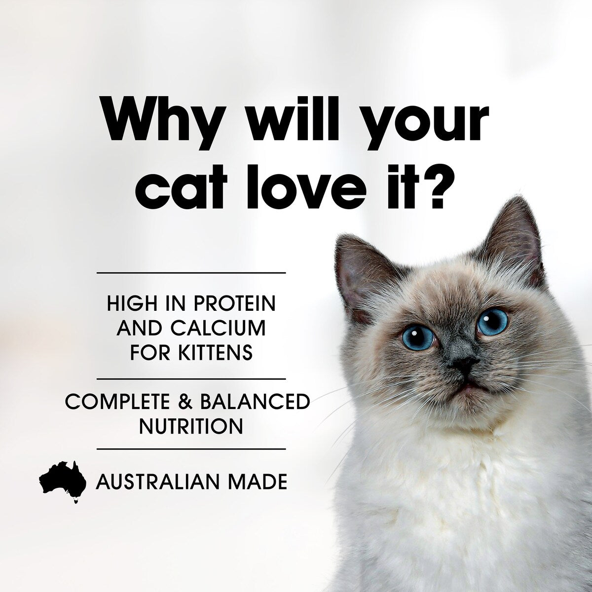 Fussy Cat Grain Free Kitten Dry Cat Food Chicken With Vegetables 450g