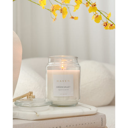 Haven 14.5cm Hidden Valley Apple & Vanilla Soy Blend Candle Each