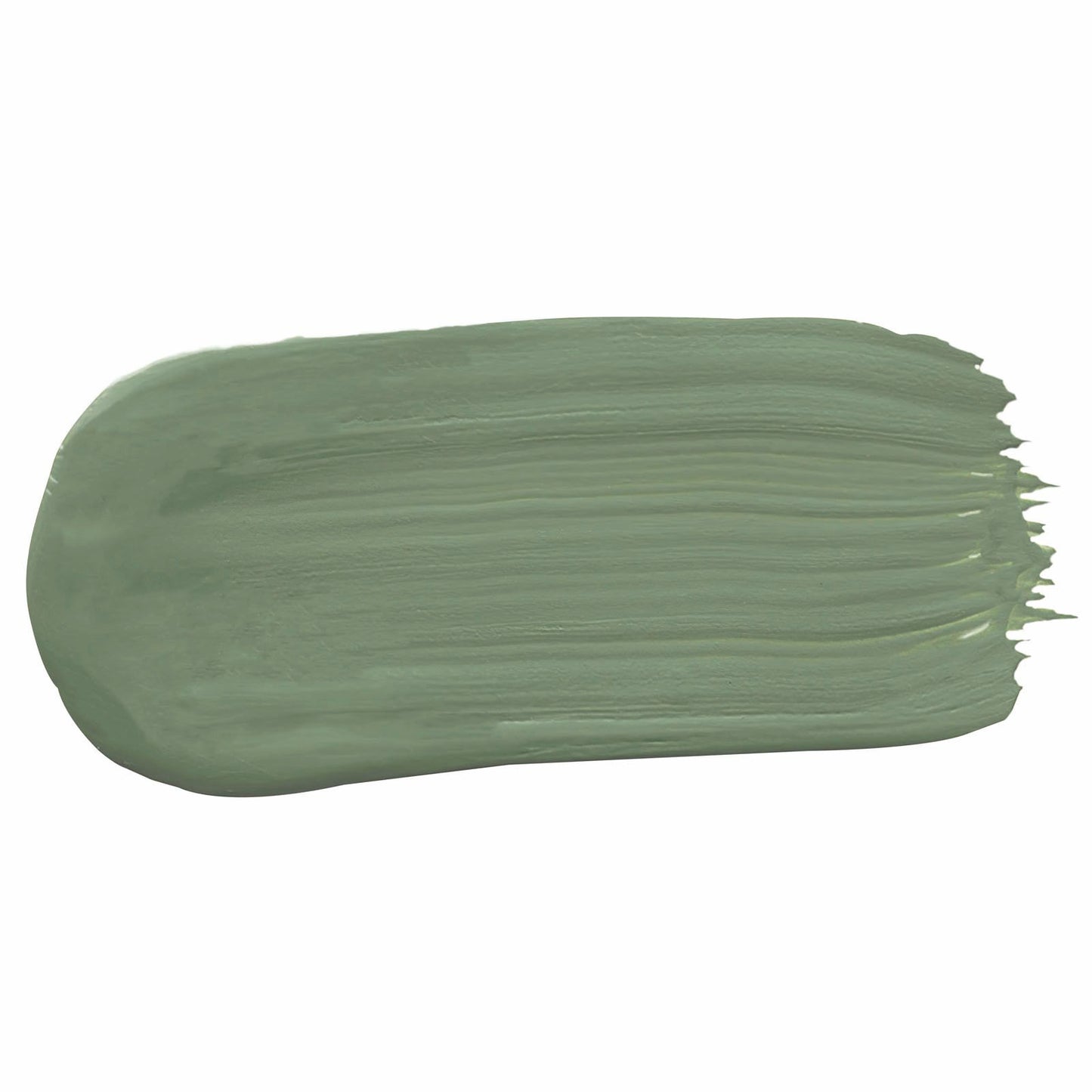 Porter's Washable Paint - 2L - Bayleaf - Eggshell
