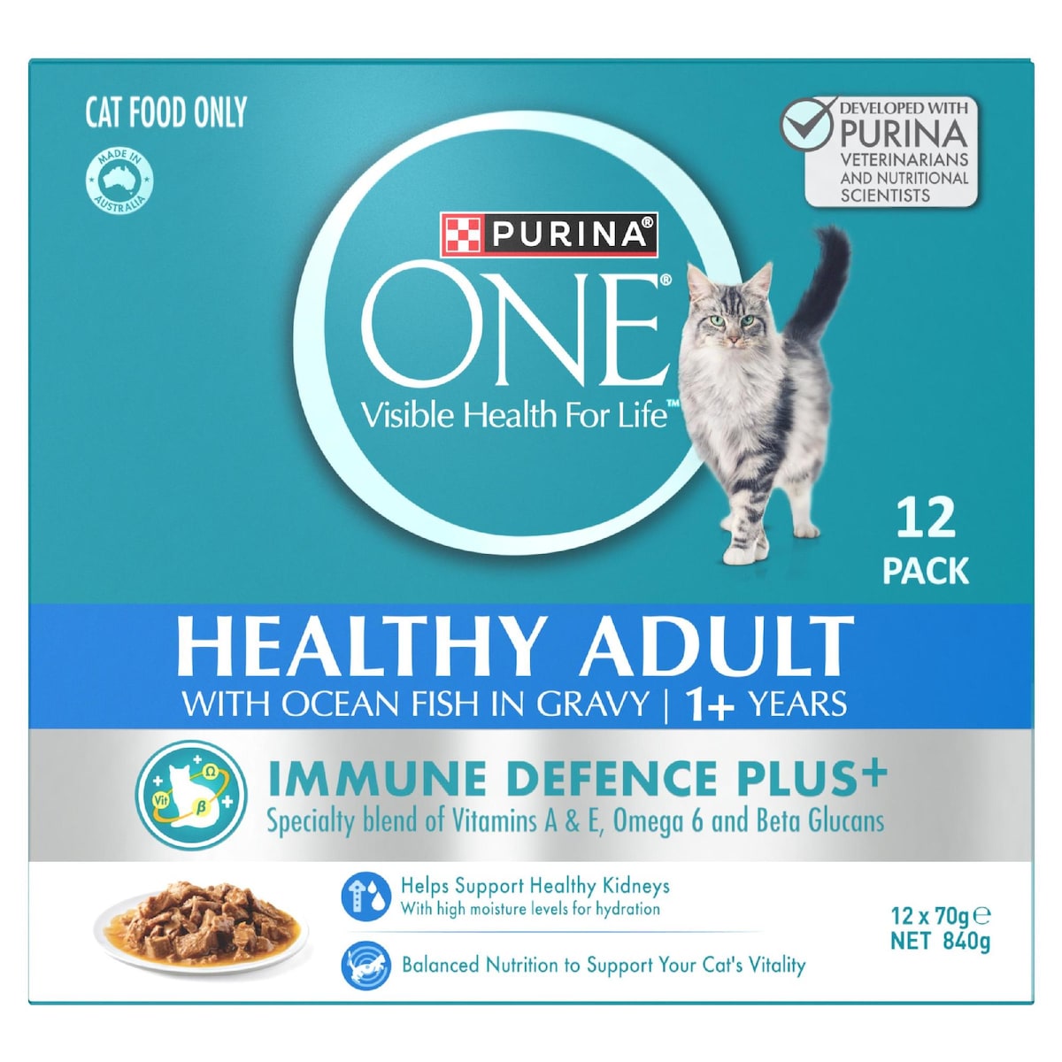Purina One Wet Cat Food Healthy Adult Ocean Fish In Gravy 70g X 12 Pack