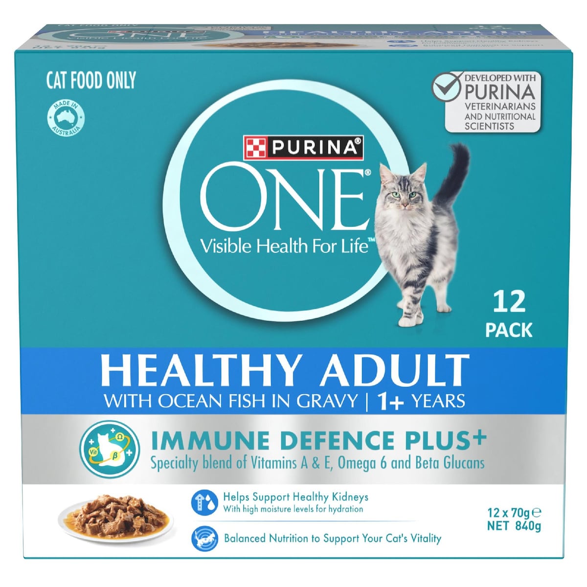 Purina One Cat Food Healthy Adult Ocean Fish In Gravy 70g X 12 Pack