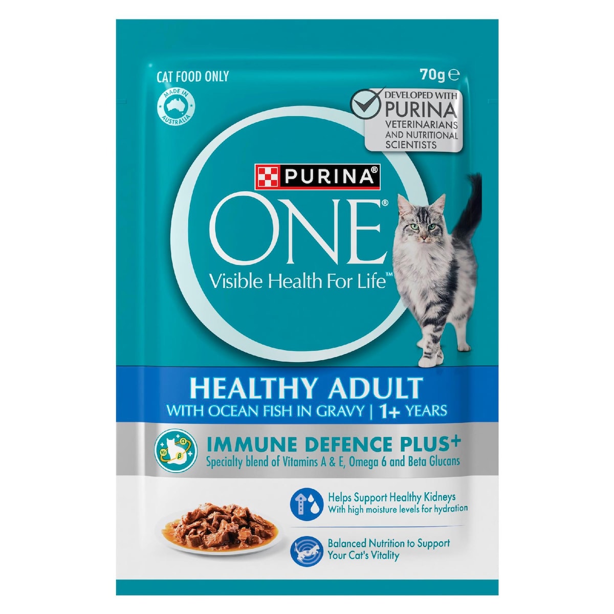 Purina One Wet Cat Food Healthy Adult Ocean Fish In Gravy 70g X 12 Pack