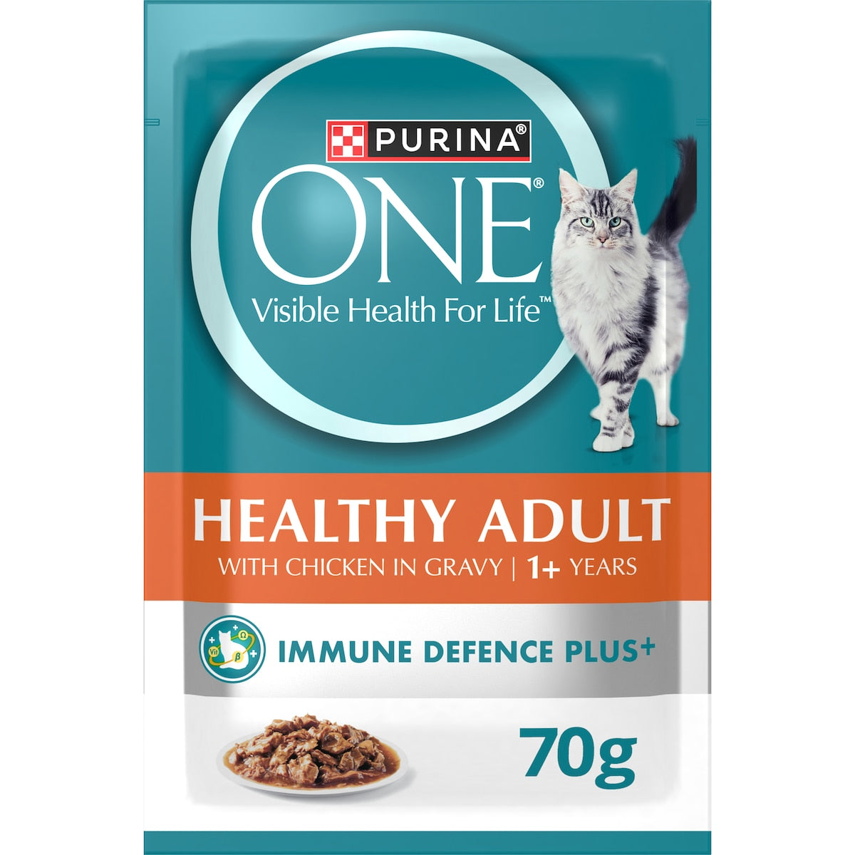 Purina One Wet Cat Food Healthy Adult Ocean Fish In Gravy 70g X 12 Pack