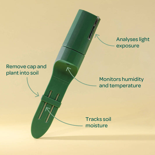 Willow Smart Indoor Plant Sensor Starter Pack - Charcoal