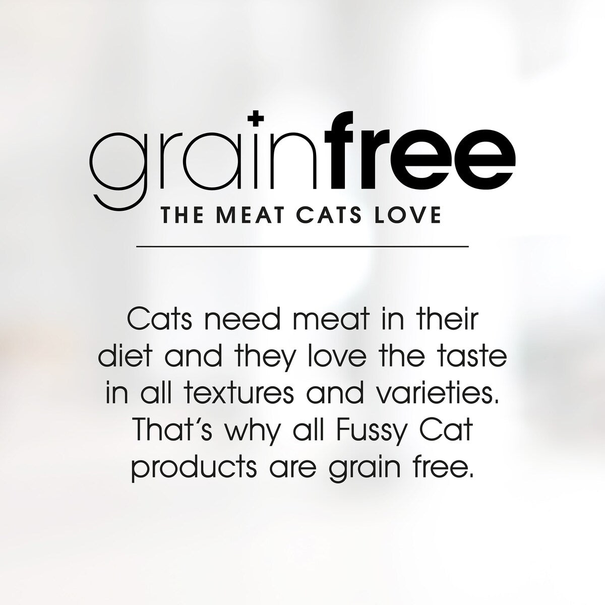 Fussy Cat Grain Free Adult Wet Cat Food Fine Chicken Mince Casserole 400g