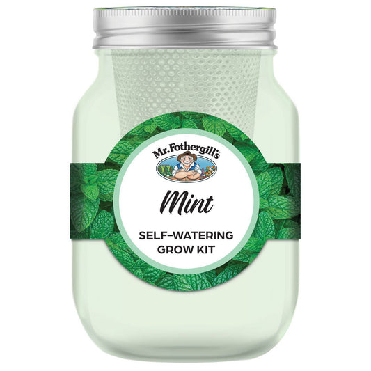 Mr Fothergill's Self Watering Mason Jar Grow Kit - Mint