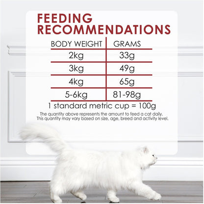 Fancy Feast Adult Beef, Salmon & Cheese Flavour Dry Cat Food 1.4kg
