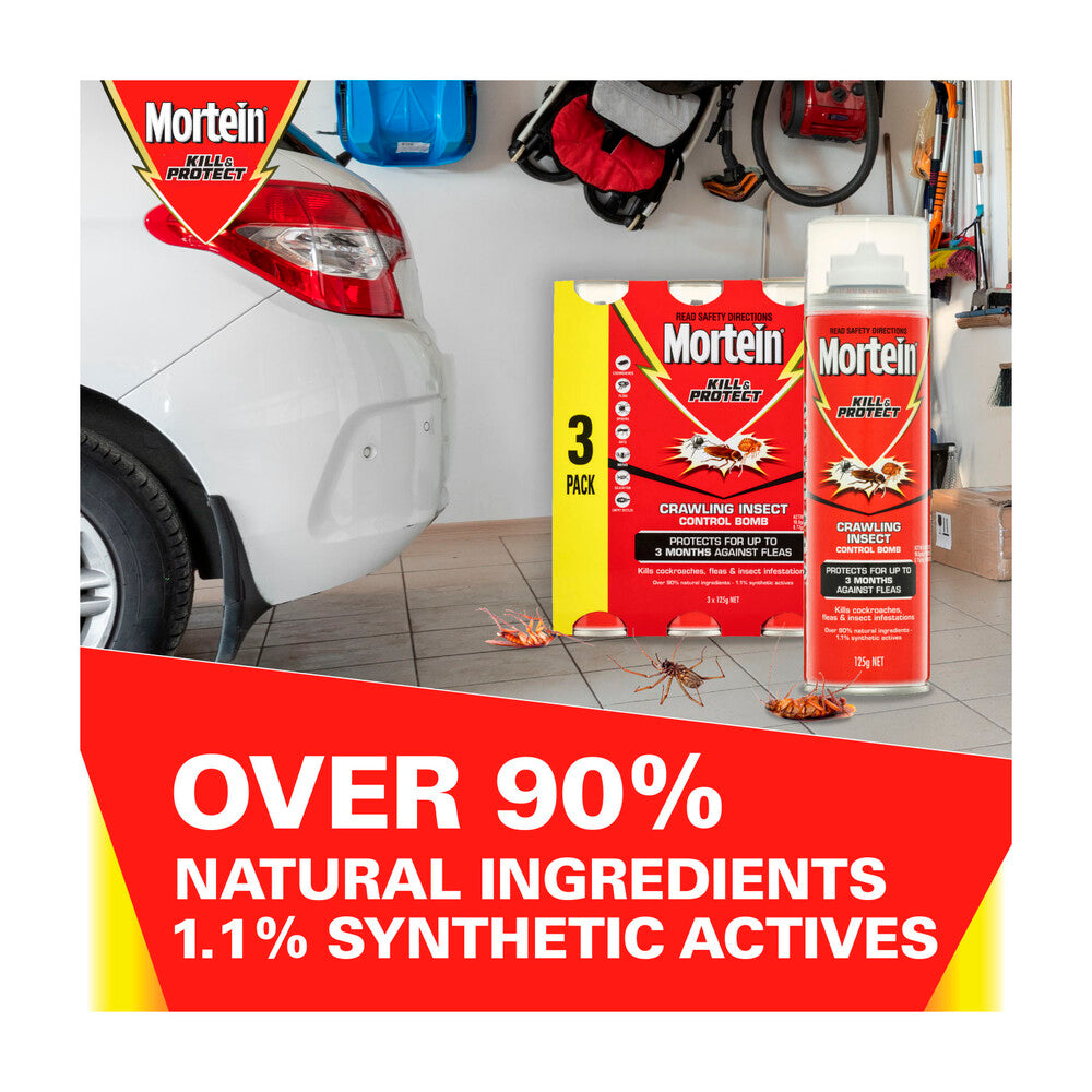 Mortein Kill & Protect Crawling Insect Control Bomb 125g - 3 Pack
