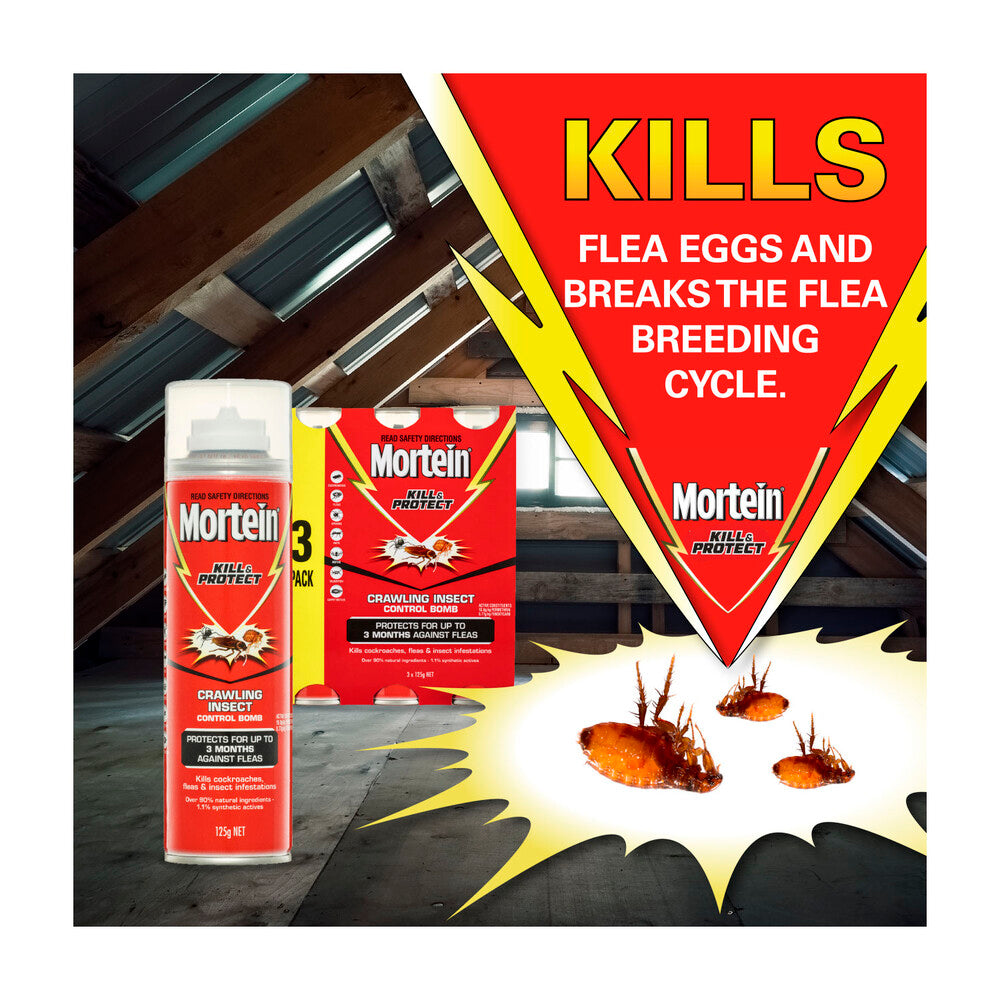 Mortein Kill & Protect Crawling Insect Control Bomb 125g - 3 Pack