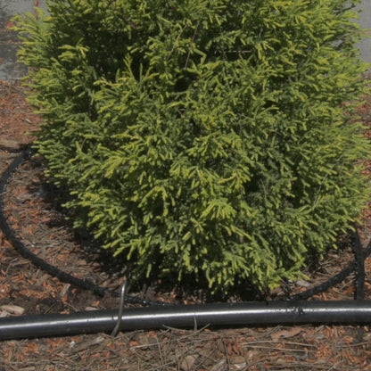 Pope Micro Water Weeper Hose - 15m - 4mm