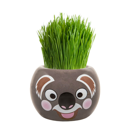 Mr Fothergill Grass Hair Koala