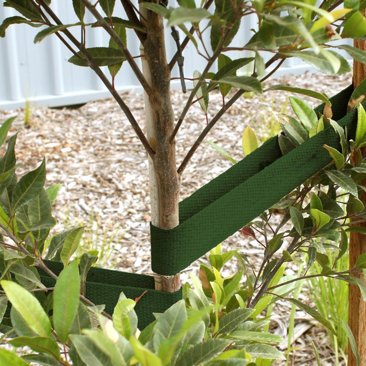 Jack Green Heavy Duty Tree Webbing - 45mm x 50m - UV-Stable - Tree Support