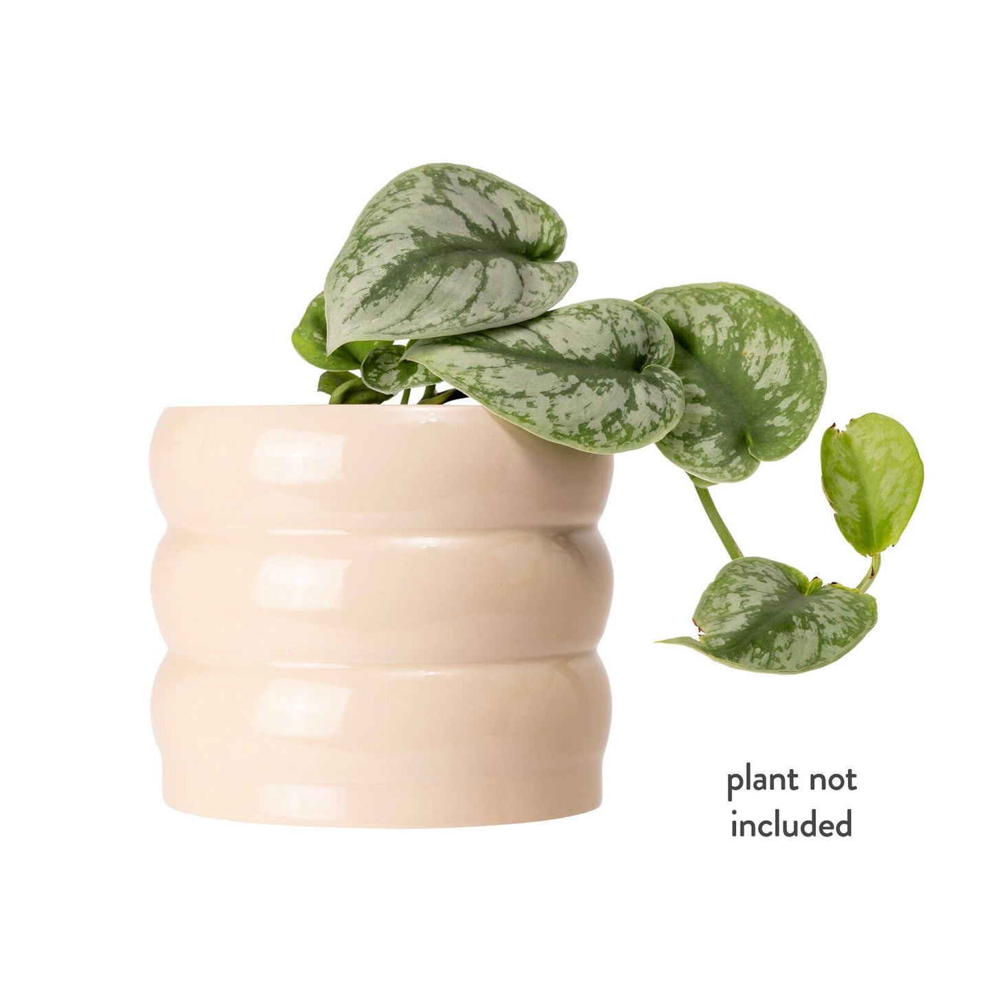 Borralheira Indoor Ceramic Pot - 180 x 155mm - Smooth Bone