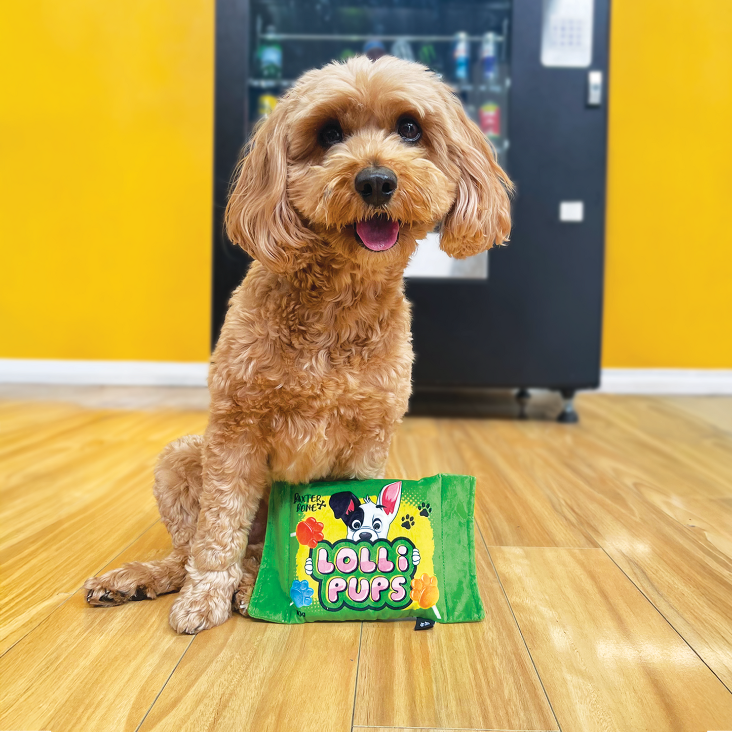 Baxter Bone Lolli Pups Pet Toy - XL