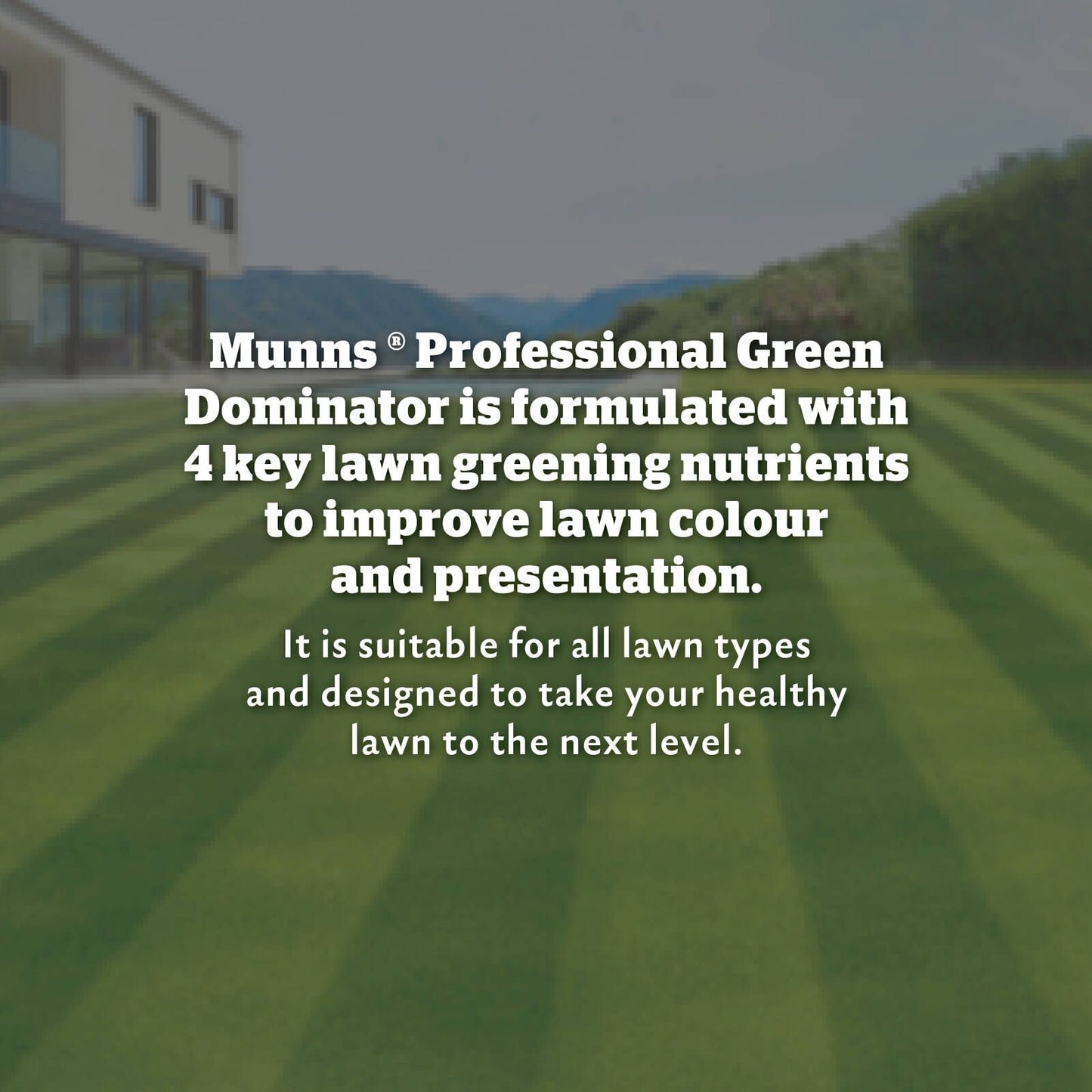 Munns Professional Green Dominator Lawn Fertiliser - 2.4L