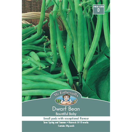 Mr Fothergill Dwarf Bean Seeds