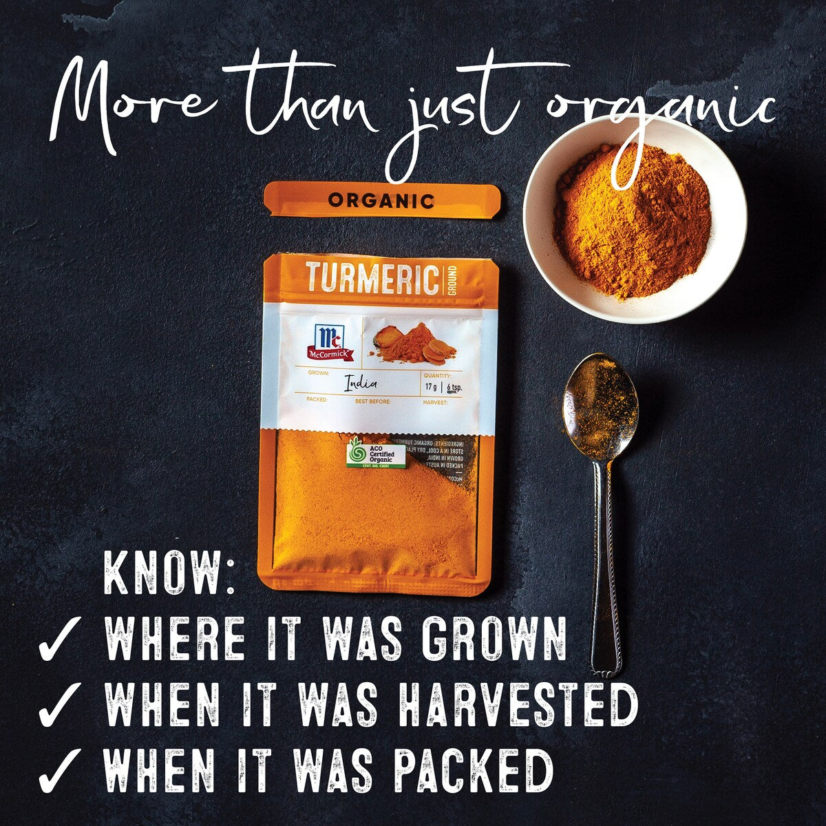McCormick Organic Turmeric Ground 17g