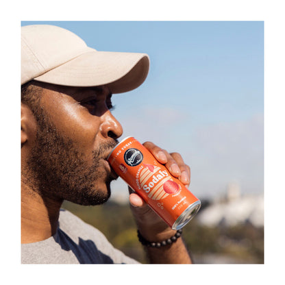 Remedy Sodaly Blood Orange 4x250ml
