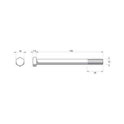 Zenith Hex Head Bolts & Nuts - M12 x 150mm - Stainless Steel 304